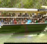 Hartley's Crocodile Adventure Half-Day Tour - New Castle Holiday