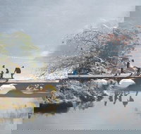 3.5 Hours Walking Tour to Cataract Gorge with Local Guide - New Castle Holiday