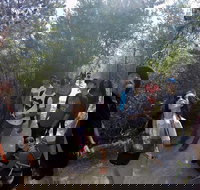 Active Day Tour One-Way from Launceston to Hobart via Wineglass Bay - New Castle Holiday