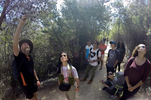 Active Day Tour One-Way From Launceston To Hobart Via Wineglass Bay - New Castle Holiday 0