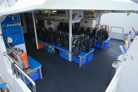 Silverswift Outer Great Barrier Reef Dive And Snorkel Cruise From Cairns - New Castle Holiday 0