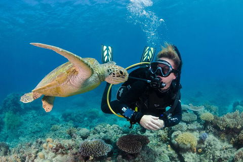 Silverswift Outer Great Barrier Reef Dive And Snorkel Cruise From Cairns - New Castle Holiday 2