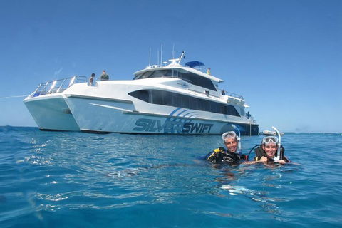 Silverswift Outer Great Barrier Reef Dive And Snorkel Cruise From Cairns - New Castle Holiday 4