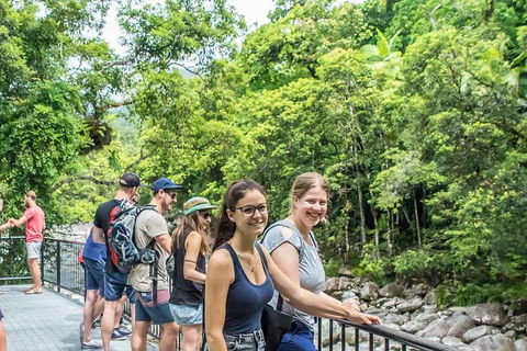 Cape Tribulation, Mossman Gorge, And Daintree Rainforest Day Trip From Cairns Or Port Douglas - New Castle Holiday 0