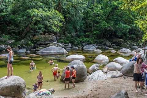 Cape Tribulation, Mossman Gorge, And Daintree Rainforest Day Trip From Cairns Or Port Douglas - New Castle Holiday 1