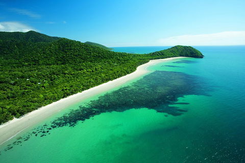 Cape Tribulation, Mossman Gorge, And Daintree Rainforest Day Trip From Cairns Or Port Douglas - New Castle Holiday 2