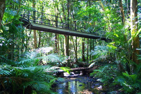 Cape Tribulation, Mossman Gorge, And Daintree Rainforest Day Trip From Cairns Or Port Douglas - New Castle Holiday 3