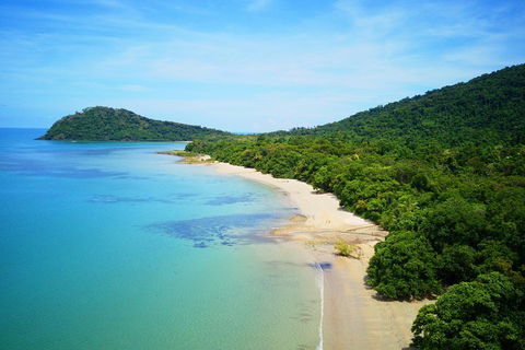 Cape Tribulation, Mossman Gorge, And Daintree Rainforest Day Trip From Cairns Or Port Douglas - New Castle Holiday 5
