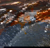 One Day Litchfield Park Adventures - New Castle Holiday