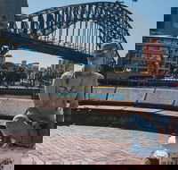 Sydney Private Tours by Locals 100 Personalized See the City Unscripted - New Castle Holiday