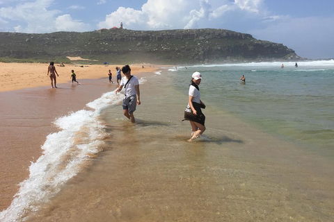Small-Group Sydney's Northern Beaches And Ku-ring-gai National Park Bus Tour - New Castle Holiday 5