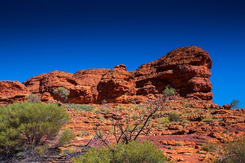 7-Day Guided Tour Of Alice Springs With Accommodation Included - New Castle Holiday 4