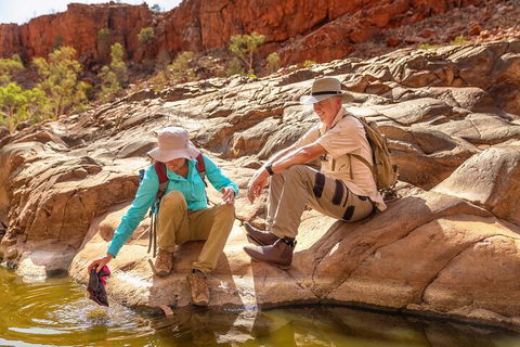 Private 9 Hour Walk And Waterhole Tour In West MacDonnell Ranges - New Castle Holiday 1