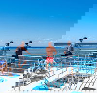 Calypso Outer Great Barrier Reef Cruise from Port Douglas - New Castle Holiday