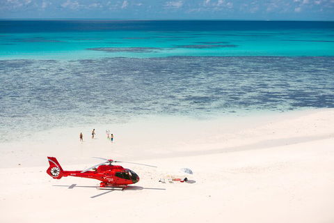 Private Helicopter Tour: Reef Island Snorkeling And Gourmet Picnic Lunch - New Castle Holiday 2