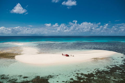 Private Helicopter Tour: Reef Island Snorkeling And Gourmet Picnic Lunch - New Castle Holiday 4