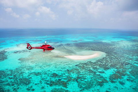 Private Helicopter Tour: Reef Island Snorkeling And Gourmet Picnic Lunch - New Castle Holiday 5