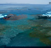 Cruise to Moore Reef Pontoon and Return Helicopter Flight from Cairns - New Castle Holiday