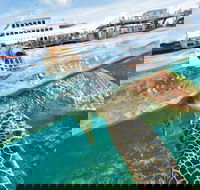 Scenic Helicopter Flight to Moore Reef and Return Snorkeling Cruise from Cairns - New Castle Holiday