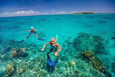 Fly To Green Island - Cruise Return - New Castle Holiday 4