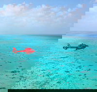 Port Douglas Scenic Flights - New Castle Holiday
