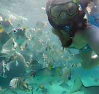 2-Day Moreton Island 4WD Camping Tour from Brisbane - New Castle Holiday