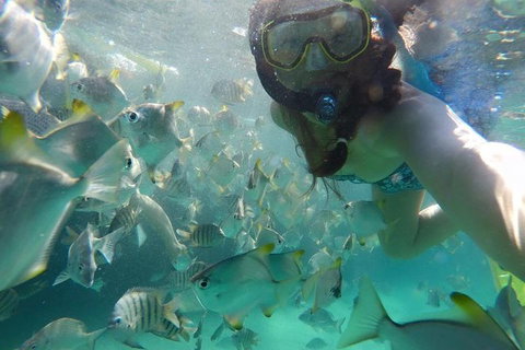 2-Day Moreton Island 4WD Camping Tour From Brisbane - New Castle Holiday 0