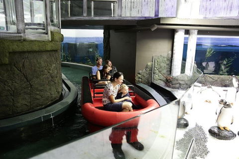 Sydney Attractions Pass: SEA LIFE Aquarium, Sydney Tower Eye, WILD LIFE Zoo And Madame Tussauds - New Castle Holiday 0