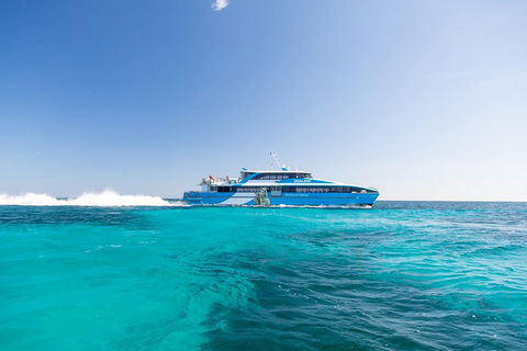 Fremantle To Rottnest Island Roundtrip Ferry Ticket - New Castle Holiday 0