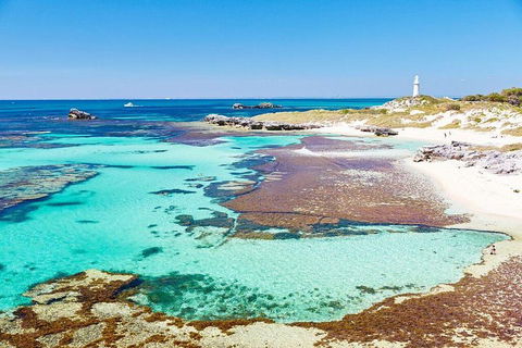 Fremantle To Rottnest Island Roundtrip Ferry Ticket - New Castle Holiday 2