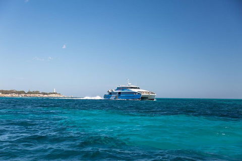 Fremantle To Rottnest Island Roundtrip Ferry Ticket - New Castle Holiday 5