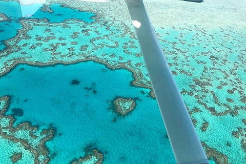 Whitsunday Islands 1-Hour Reef Scenic Helicopter Tour - New Castle Holiday 3