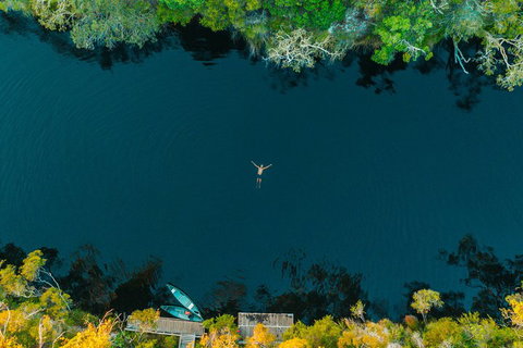 Cruise 'n' Canoe To Australia's Everglades - New Castle Holiday 2