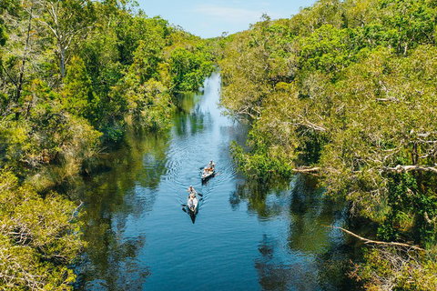 Cruise 'n' Canoe To Australia's Everglades - New Castle Holiday 3