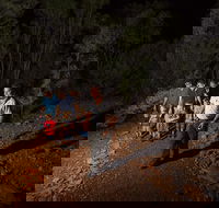 Alice Springs Desert Park Nocturnal Tour - New Castle Holiday