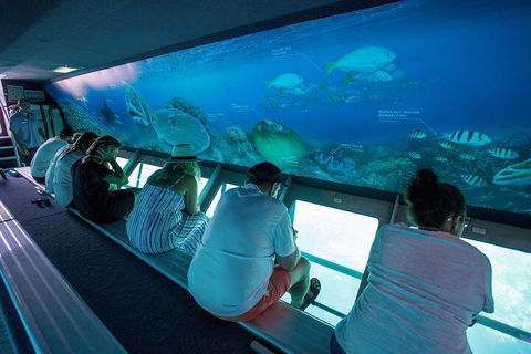Great Barrier Reef Day Cruise To Reefworld - New Castle Holiday 0
