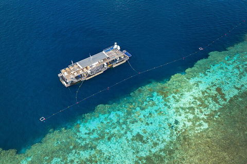 Great Barrier Reef Day Cruise To Reefworld - New Castle Holiday 2