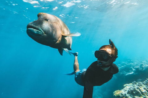 Great Barrier Reef Day Cruise To Reefworld - New Castle Holiday 3
