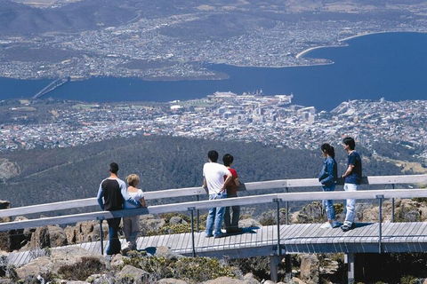 Mt Wellington Tour And MONA Admission - New Castle Holiday 4