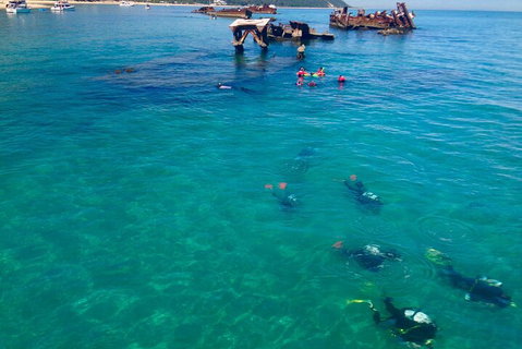 Adventure Moreton Island Scuba Dive Tour - New Castle Holiday 0