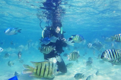 Adventure Moreton Island Scuba Dive Tour - New Castle Holiday 1