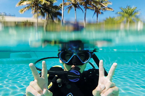 Adventure Moreton Island Scuba Dive Tour - New Castle Holiday 2