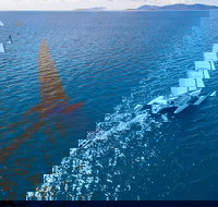 2-Night Whitsunday Islands Sailing Adventure on Trimaran Avatar - New Castle Holiday