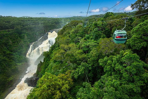 Cairns ATV Adventure Tour And Morning Skyrail - New Castle Holiday 3