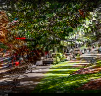 Fully Inclusive Blue Mountains Private Tour inc Scenic World  Featherdale entry - New Castle Holiday