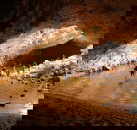 Windjana Explorer - New Castle Holiday