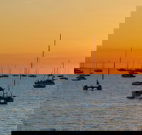 Darwin Shore Excursion Hop-on Hop-off Bus Tour - New Castle Holiday