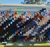 Full Day Mount Tamborine Winery Tour from Gold Coast - New Castle Holiday