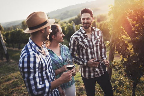 Full Day Mount Tamborine Winery Tour From Gold Coast - New Castle Holiday 5