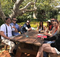 Private Full Day Wine Tour from the Gold Coast to Tamborine Mountain - New Castle Holiday